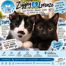 Due cuccioli strepitosi