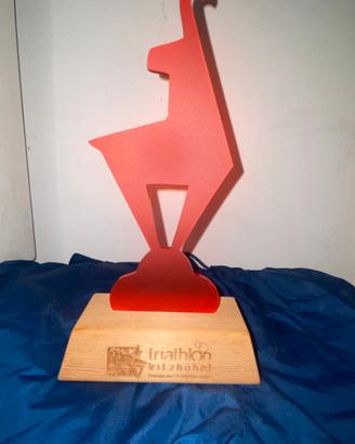 Trofeo”Camoscio” Triathlon European Kitzbühel 2014