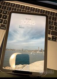 iPad mini 6 256 gb