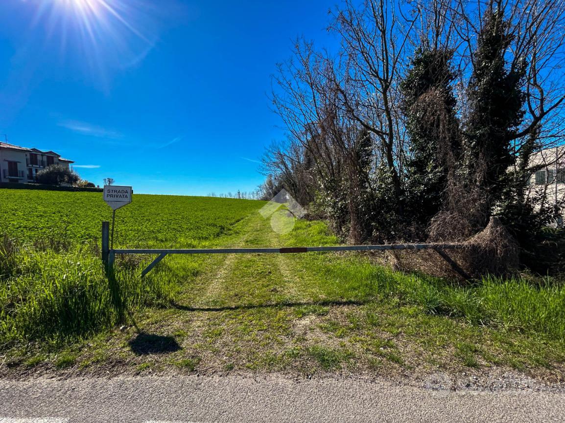 TER. AGRICOLO A BELLUSCO - Altro