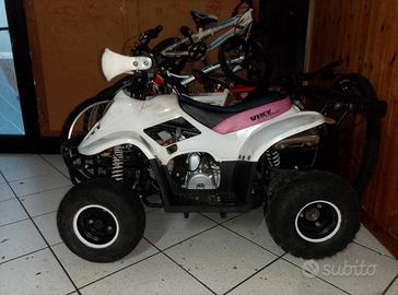 quad tao tao 110