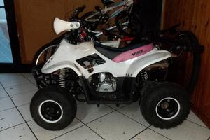 quad tao tao 110