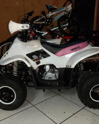 quad tao tao 110