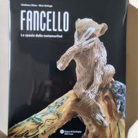 Libro: Fancello lo spazio della metamorfosi 45 Eur