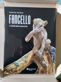 Libro: Fancello lo spazio della metamorfosi 45 Eur