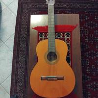 Chitarra Ferrarotti Duebis