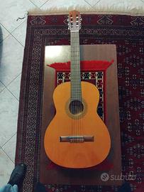 Chitarra Ferrarotti Duebis