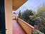 Immagine 27