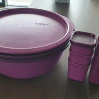 Tupperware Microgourmet 