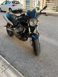 Hornet 600