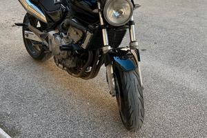 Hornet 600