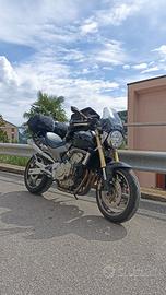 2005 Honda Hornet 600 XCone Mivvs