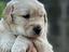 Immagine 18