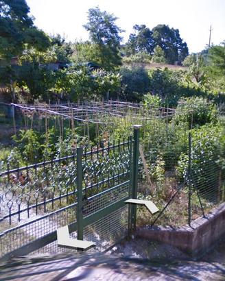 Terreno agricolo con accesso diretto - Urbino