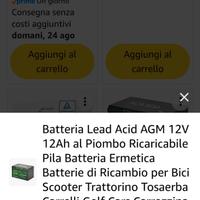batteria per bici elettrica con caricabatterie