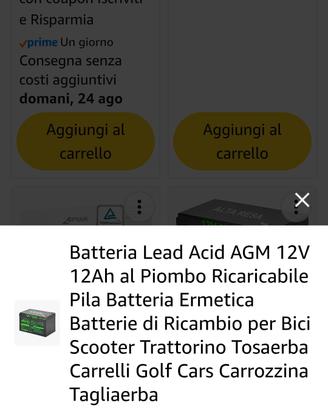 batteria per bici elettrica con caricabatterie