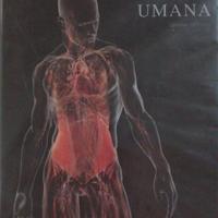 Anatomia umana