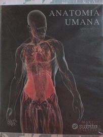 Anatomia umana