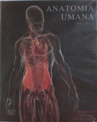 Anatomia umana