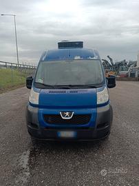 Peugeot boxer cella frigo Finax-20 