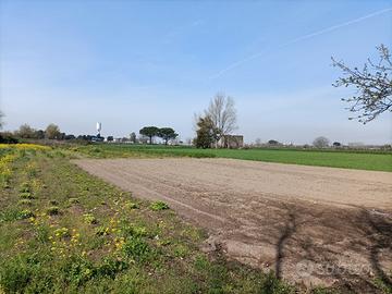 Tno terreno 26/2023 lotto 1