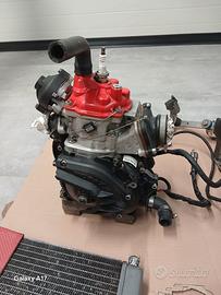 Motore rotax evo max 125 senior