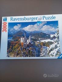 Puzzle Revesburger