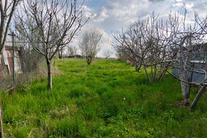 Terreno moribondo frazione Bausone