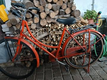 Bici modello olandese