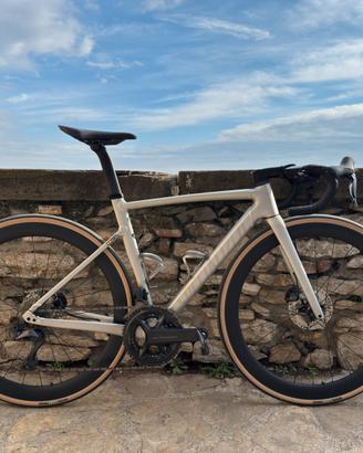 Specialized allez sprint Tg S