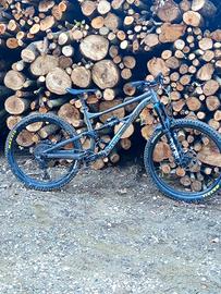 specialized status 160 2024