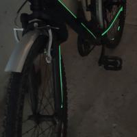 Bicicletta Mountain bike
