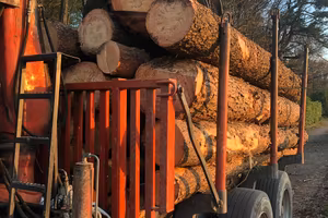 Rimorchio Forestale Pizeta