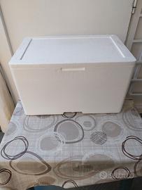 cassetta in Polistirolo termica