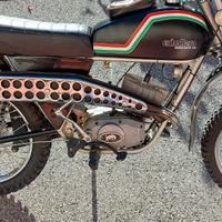 Fantic Motor Caballero regolarità 50 6m - 1973