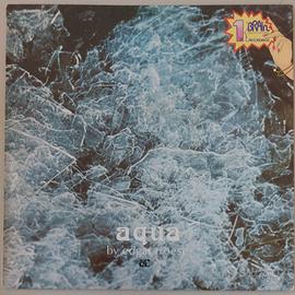 Disco vinile LP 33 giri