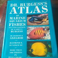 Atlas dr. Burgess