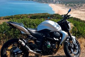 Z750 2007