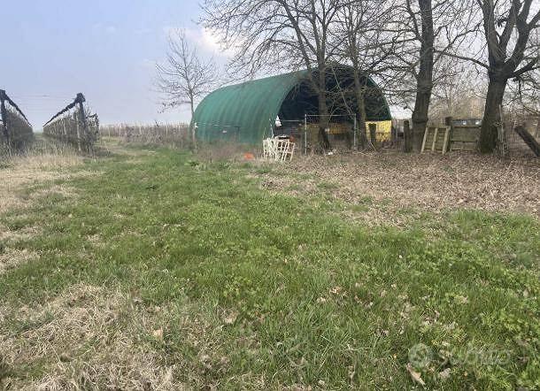 Immobile in asta di 10661 m² a San Possidonio - Vista 4