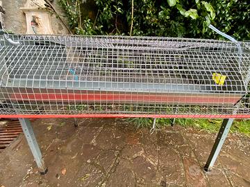 Gabbia per quaglia