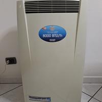 Pinguino De Longhi 2008
