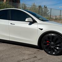 Tesla Model Y Performance