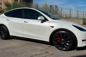 Tesla Model Y Performance