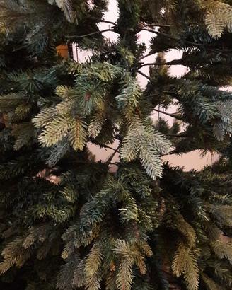 Albero di Natale