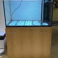Acquario marino 300 lt + Sump
