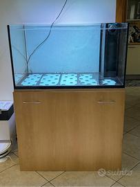 Acquario marino 300 lt + Sump