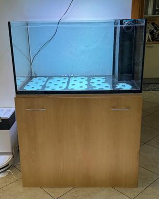 Acquario marino 300 lt + Sump