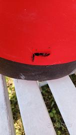 sacco boxe e guantoni mai usati.