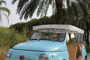 FIAT 500 Jolly