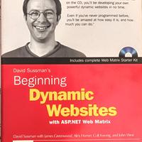 Dynamic websites